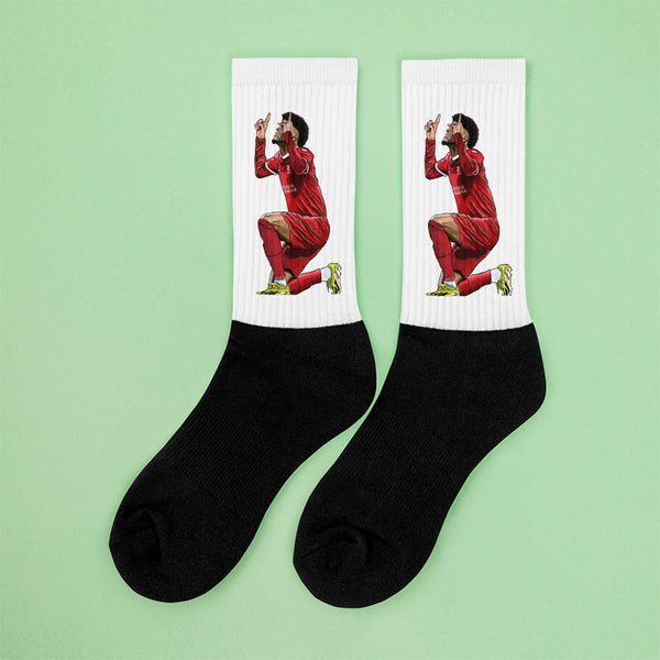 Lucho Diaz Illustration Socks