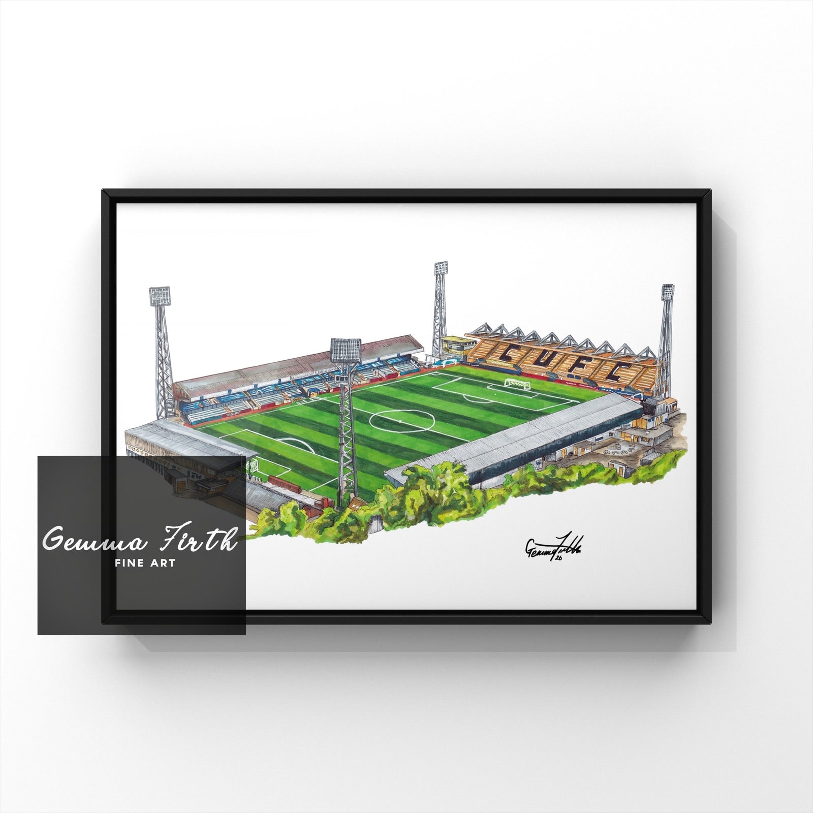 Abbey Stadium Poster Print